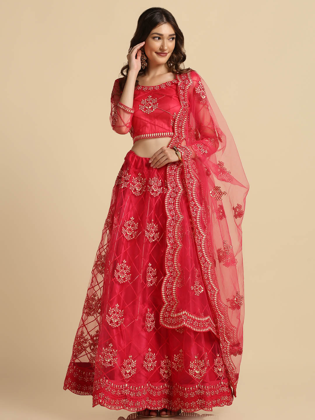 Red Net Lehenga Choli