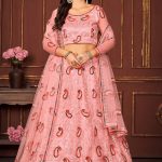 Embroidered Peach Net Lehenga