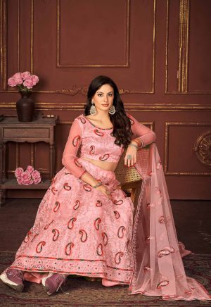 Embroidered Peach Net Lehenga