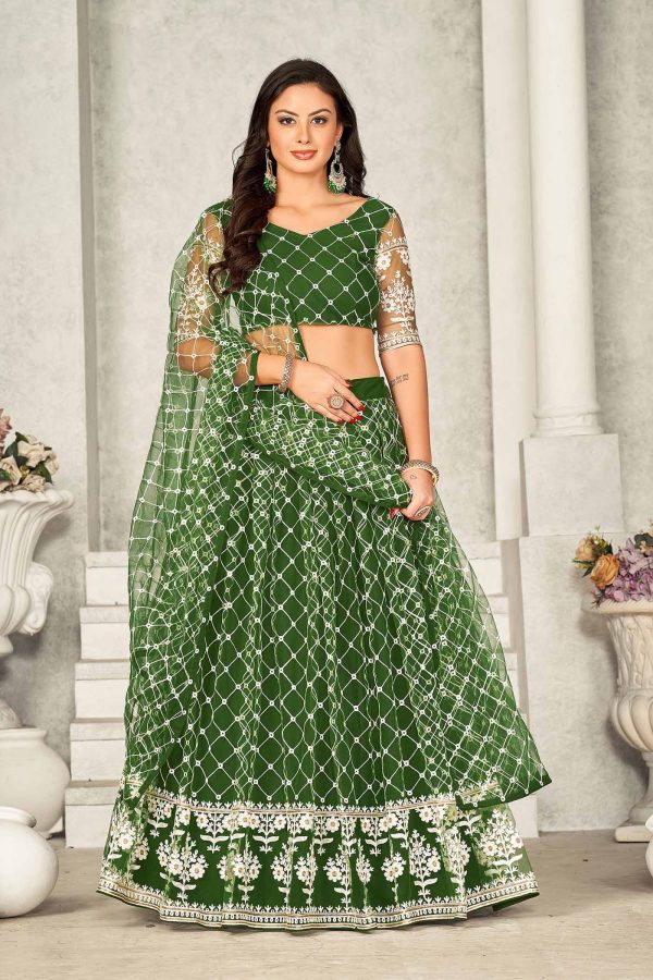 Mehndi Net Lehenga Choli