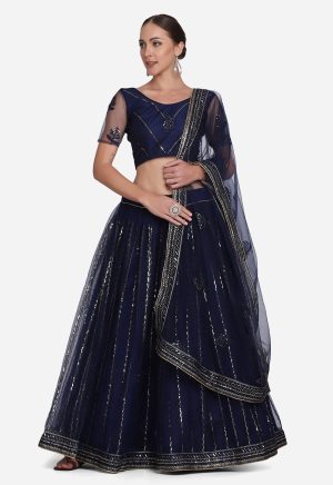 Blue Net Sequenced Lehenga