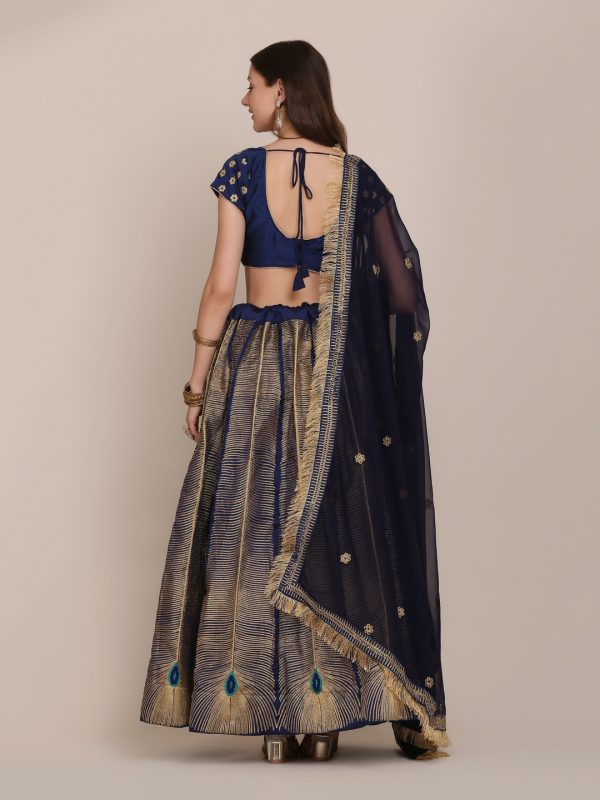 Morpankh Design Lehenga Choli