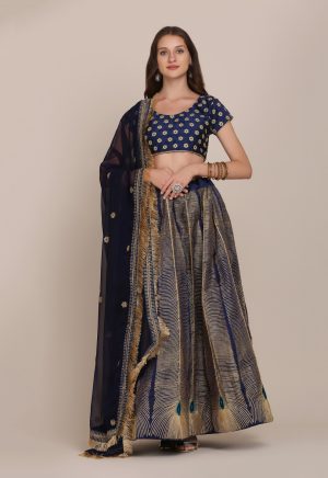 Morpankh Design Lehenga Choli