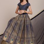 Morpankh Design Lehenga Choli