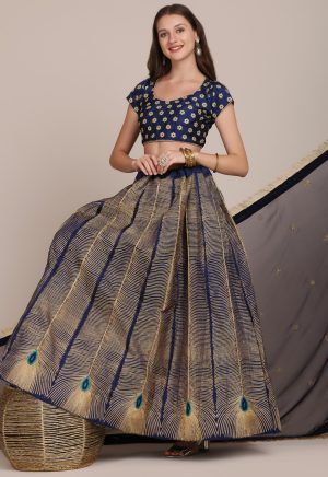 Morpankh Design Lehenga Choli