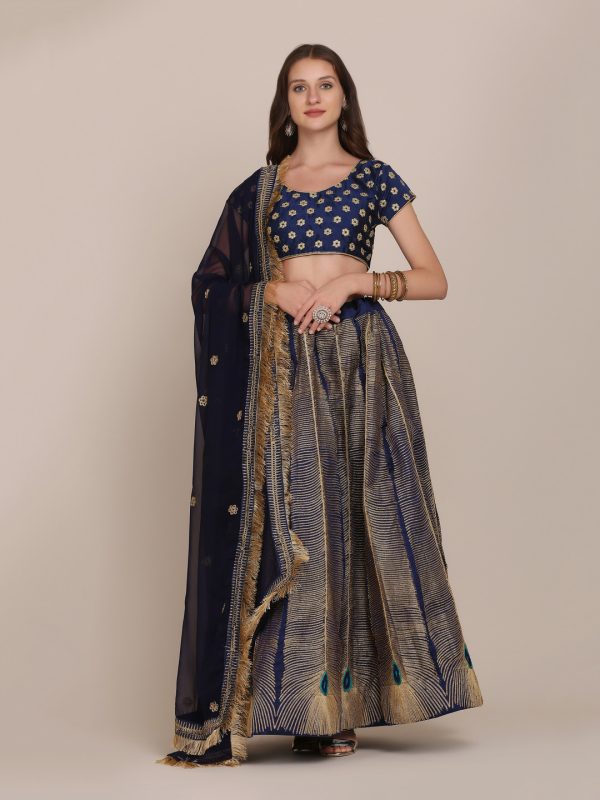 Morpankh Design Lehenga Choli