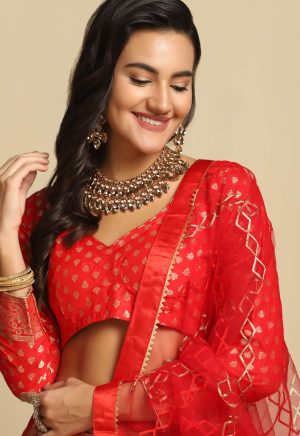 Red Lehenga Choli