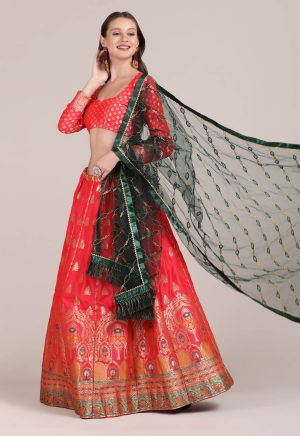 Pink Lehenga Choli