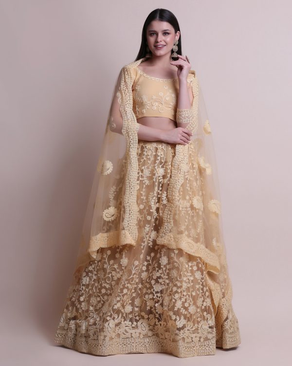 Golden Brown Net Embroidered Lehenga