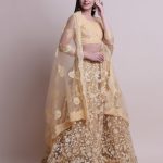 Golden Brown Net Embroidered Lehenga