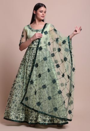 Lamon Green Net Anarkali Suit