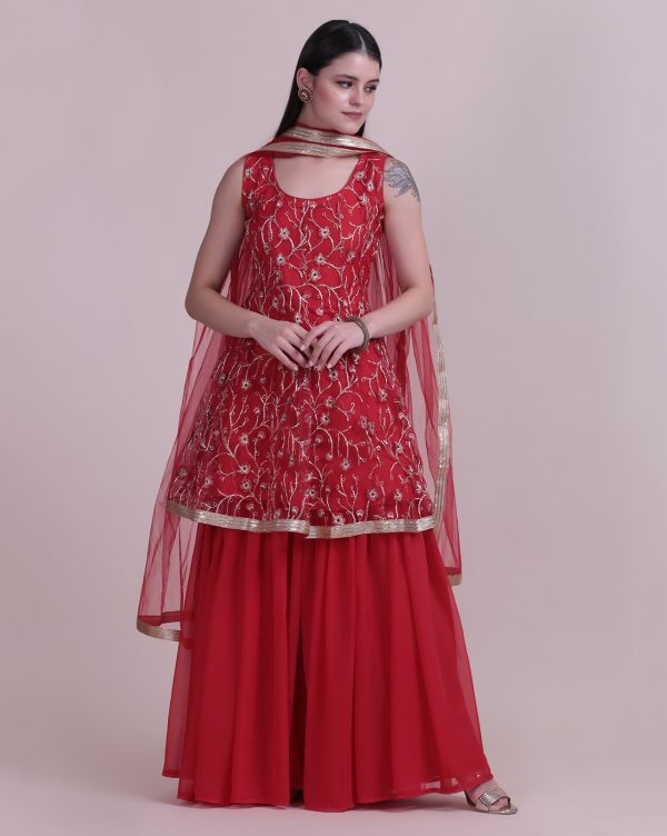 Embroidery Net Red Sharara Suit