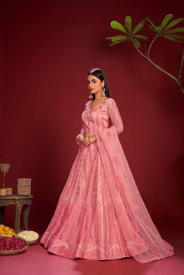 Pink Embroidered Net Lehenga