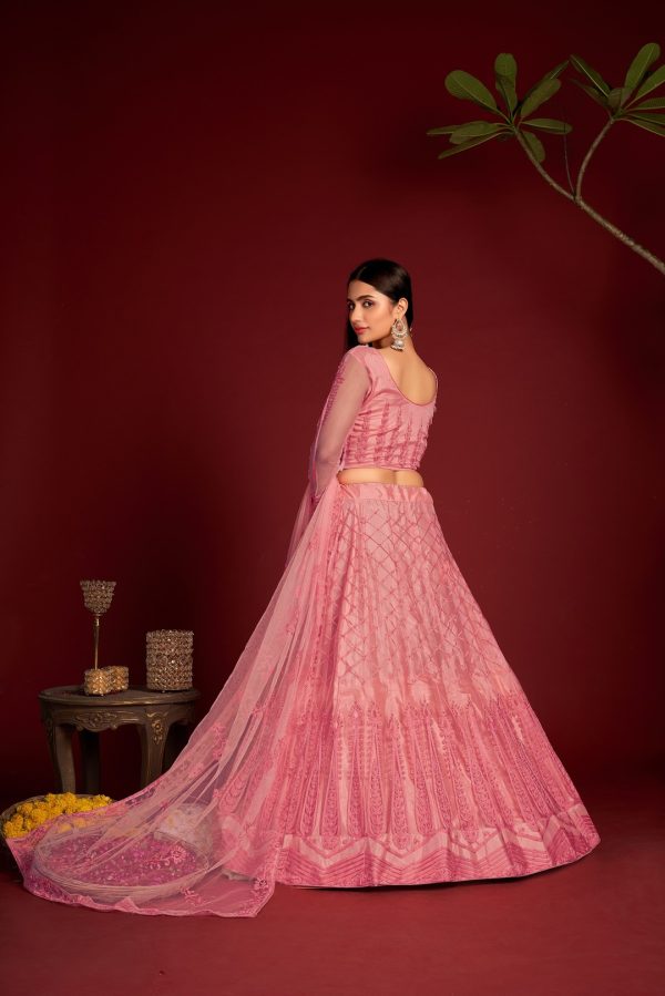 Pink Embroidered Net Lehenga