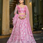 Net Lehenga Choli