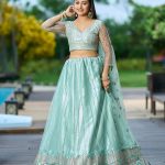 Net Pista Lehenga Choli