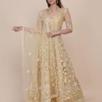 Chiku Color Anarkali Suit