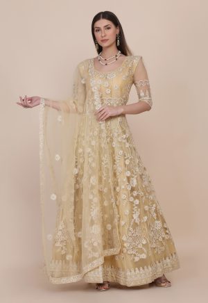 Chiku Color Anarkali Suit