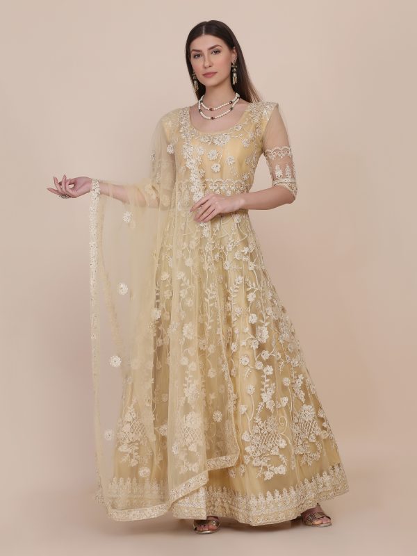 Chiku Color Anarkali Suit