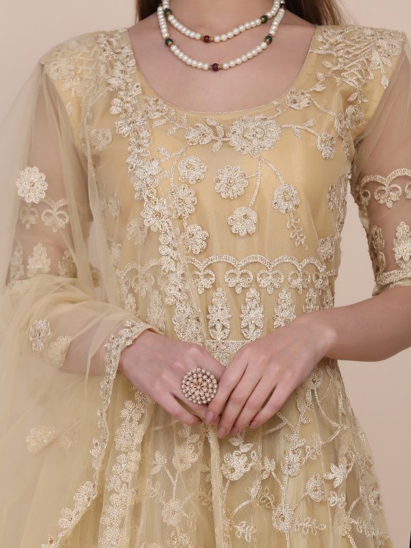 Chiku Color Anarkali Suit