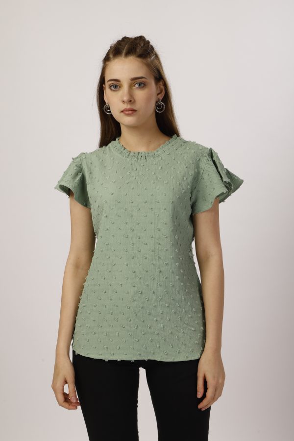 Round Collar Parrot Top