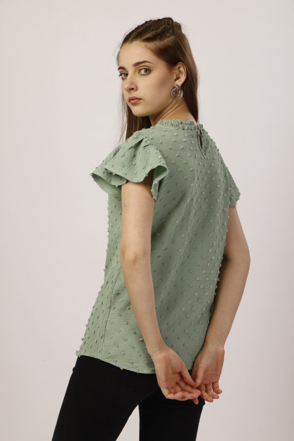 Round Collar Parrot Top